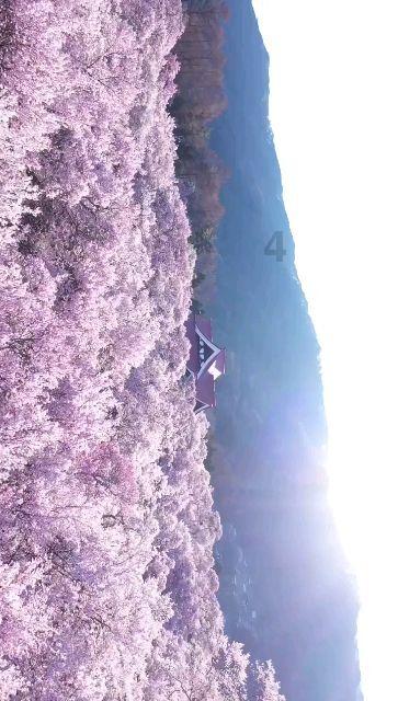 冰汽时代